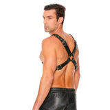 Leather Harness with Large Buckle One Size